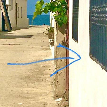 Blue Holiday 拉乌河 外观 照片